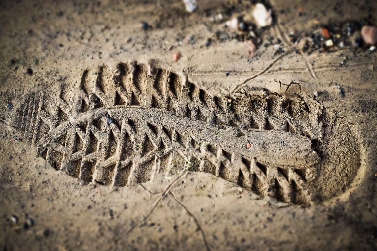 découvrez comment réduire votre empreinte carbone et contribuer à la lutte contre le changement climatique. apprenez des pratiques durables et des conseils pour minimiser votre impact environnemental au quotidien.