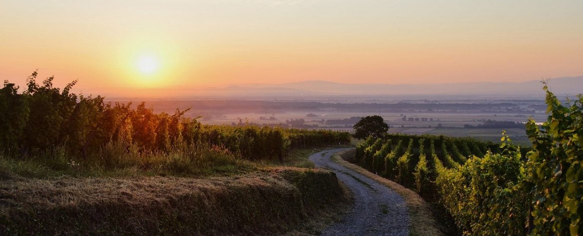 découvrez l'alsace, une région pleine de charme entre collines verdoyantes et villages pittoresques, où l'histoire, la culture et la gastronomie se rencontrent dans un cadre enchanteur.