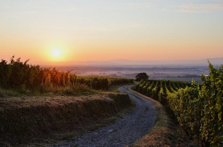 découvrez l'alsace, une région pleine de charme entre collines verdoyantes et villages pittoresques, où l'histoire, la culture et la gastronomie se rencontrent dans un cadre enchanteur.