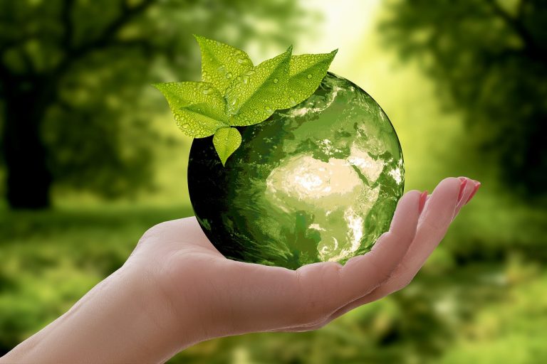 découvrez l'importance de la durabilité pour un avenir meilleur. explorez des pratiques éthiques, des solutions écologiques et des initiatives innovantes qui contribuent à la protection de notre planète et à un mode de vie responsable.