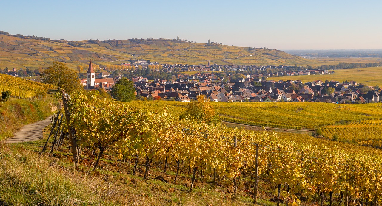 découvrez l'alsace, une région française riche en culture, histoire et paysages enchanteurs. entre vosges et rhône, savourez la gastronomie locale, explorez des villages pittoresques et plongez dans un héritage unique. partez à l'aventure en alsace, une destination qui éveille les sens.