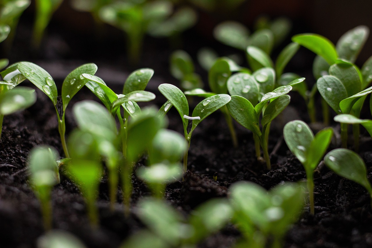 découvrez comment les entreprises peuvent intégrer la responsabilité sociale durable dans leur stratégie pour un impact positif sur la société et l'environnement. apprenez les meilleures pratiques et les avantages d'une approche responsable.