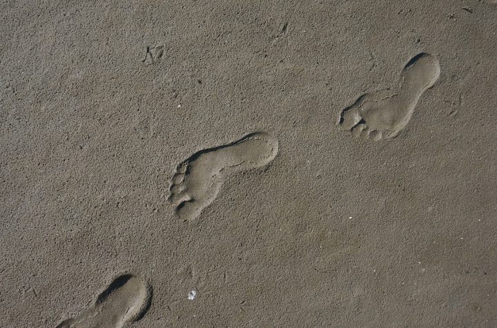 découvrez comment la empreinte carbone influence notre environnement et apprenez des moyens pratiques pour réduire votre impact écologique au quotidien. adoptez des comportements durables pour un avenir plus vert.