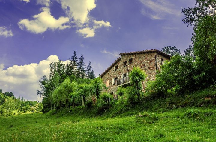 découvrez le monde fascinant de la foresterie, une discipline essentielle pour la gestion durable des forêts. apprenez-en plus sur les techniques de conservation, les enjeux environnementaux et les pratiques innovantes qui protègent nos précieuses ressources naturelles.