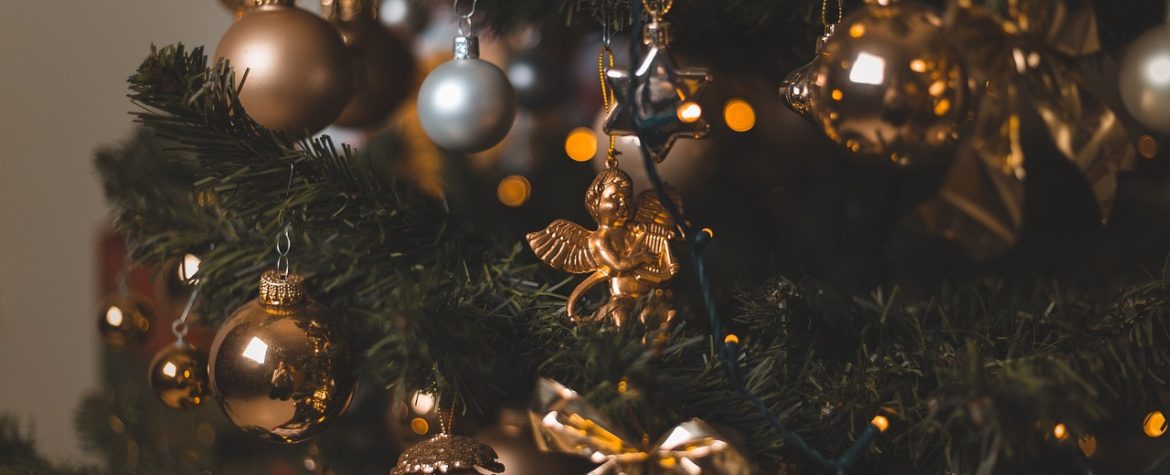 découvrez l'émerveillement des fêtes avec notre sélection d'arbres de noël. que vous recherchiez un sapin naturel ou artificiel, trouvez le compagnon parfait pour illuminer votre maison et créer des souvenirs inoubliables en cette saison festive.