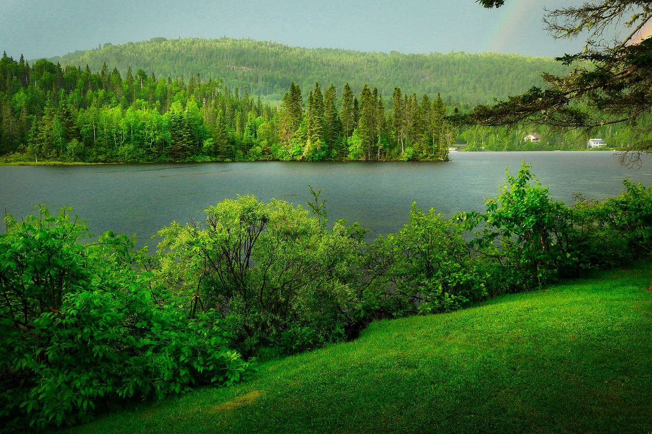 découvrez l'importance de la biodiversité pour notre planète. explorez les richesses des écosystèmes, les menaces qui pèsent sur la faune et la flore, et les actions nécessaires pour préserver la diversité biologique essentielle à notre survie.