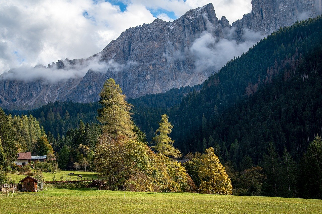 découvrez le monde fascinant du tourisme : des destinations idylliques aux conseils pratiques pour vos voyages. explorez des cultures variées, des paysages époustouflants et des expériences inoubliables qui enrichiront vos aventures. préparez-vous à faire de chaque voyage un moment unique et mémorable.