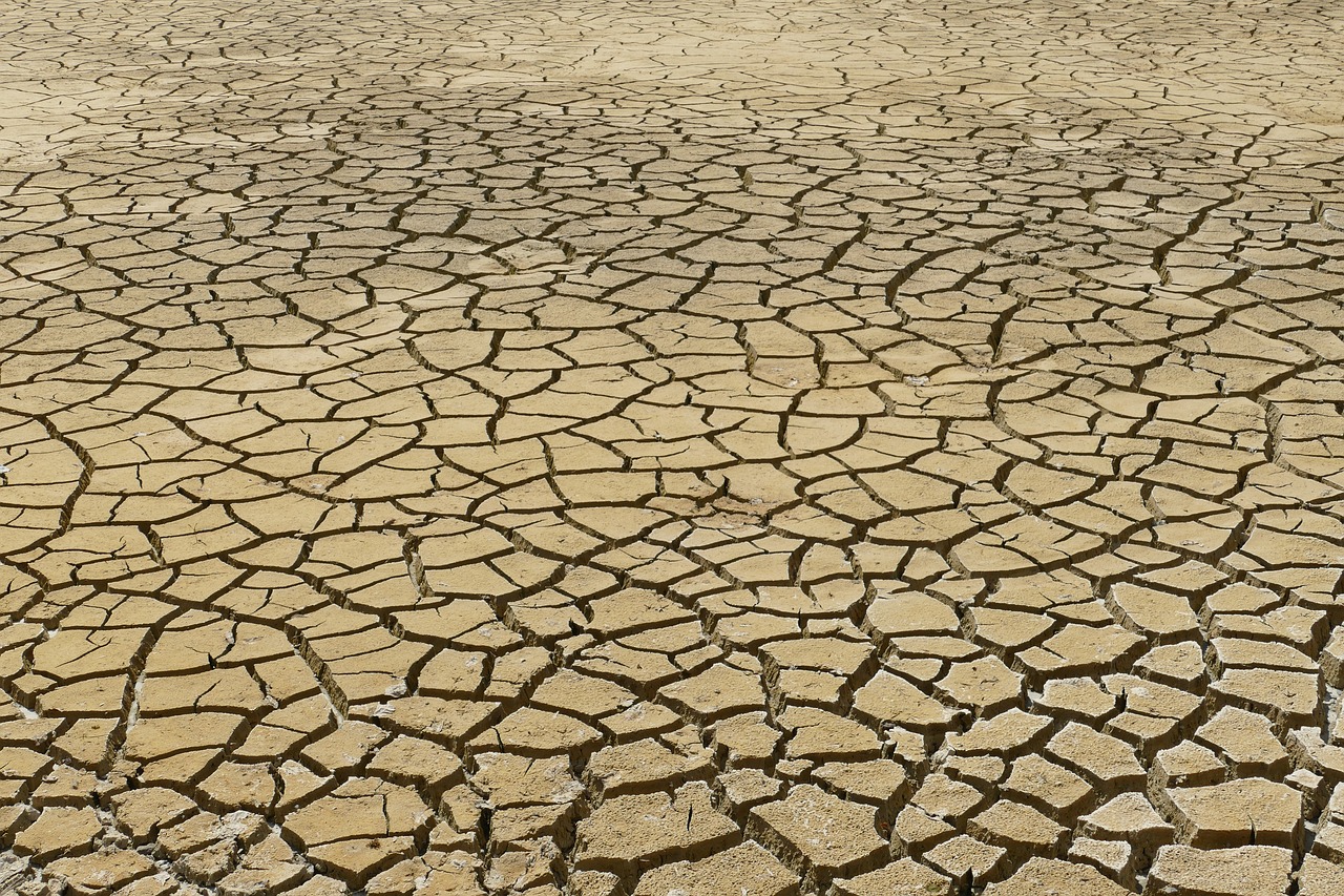 découvrez les enjeux du changement climatique, ses impacts sur notre planète et les solutions pour un avenir durable. informez-vous sur les actions à entreprendre pour lutter contre cette menace mondiale.