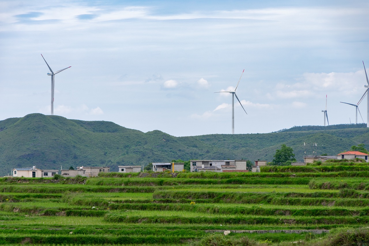 découvrez comment le développement durable peut transformer notre société en harmonie avec la planète. explorez des stratégies innovantes, des initiatives écologiques et des pratiques responsables pour un avenir meilleur.