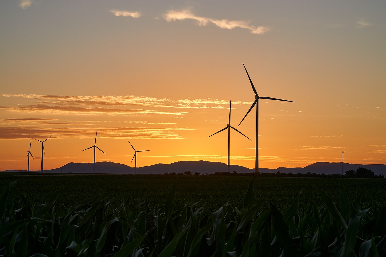 découvrez les enjeux et les perspectives de l'énergie renouvelable, une solution incontournable pour un avenir durable. explorez les différentes sources d'énergie verte, leurs avantages et leur impact sur l'environnement.