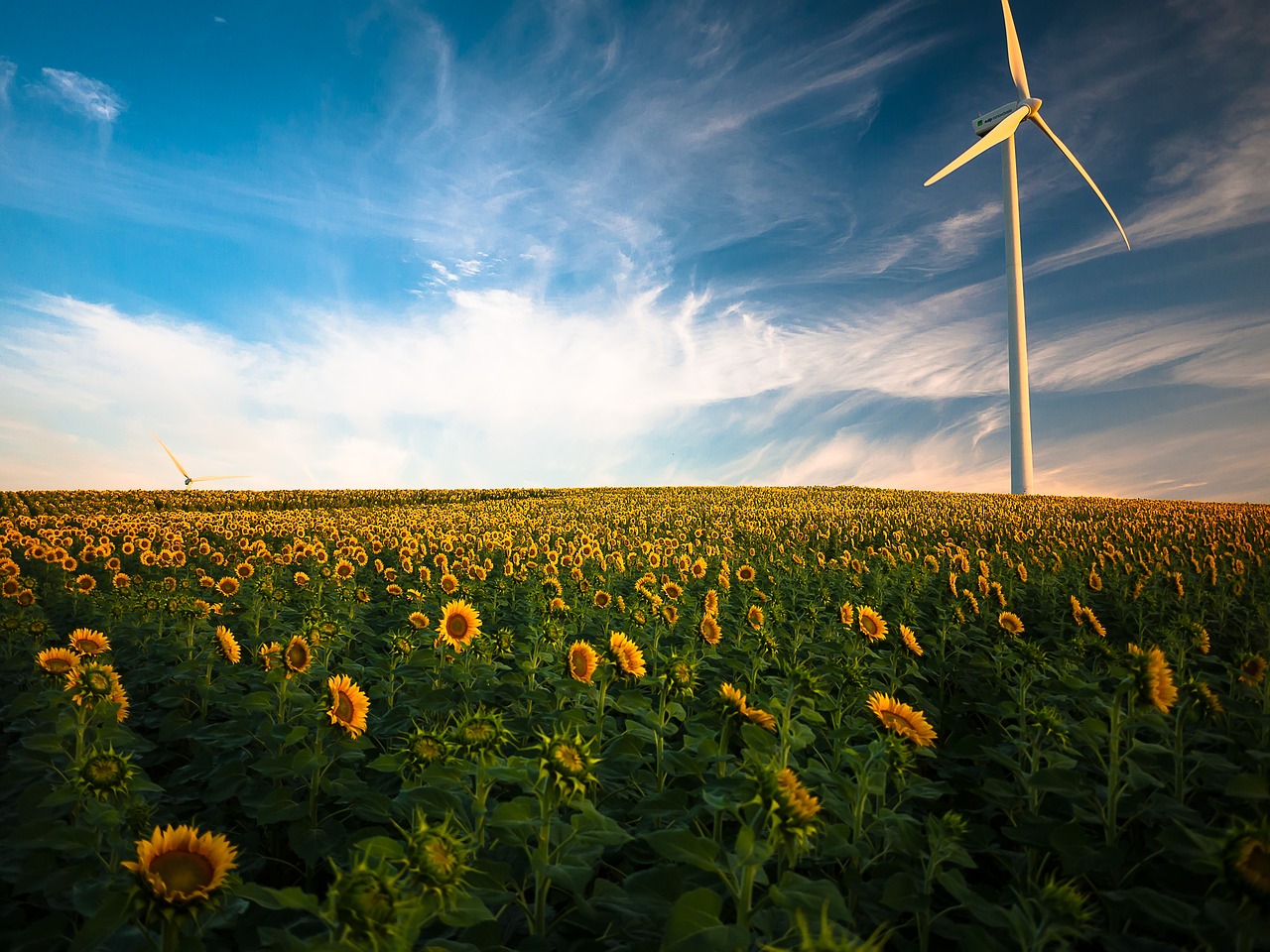 découvrez les avantages des énergies renouvelables, des solutions durables pour un avenir plus vert. informez-vous sur les sources d'énergie renouvelable, leur impact environnemental et comment elles transforment notre approche de la consommation énergétique.