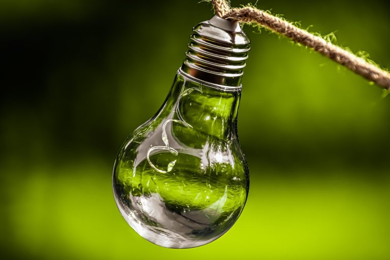 découvrez comment la durabilité transforme notre monde, en intégrant des pratiques écologiques et responsables pour préserver notre planète pour les générations futures. explorez les tendances, les innovations et les actions nécessaires pour un avenir plus durable.